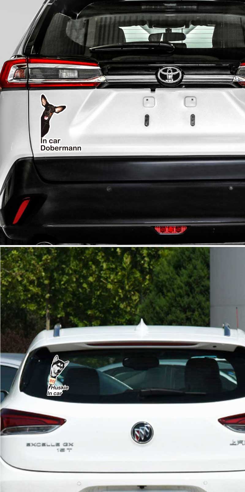 cat in car sticker cat in car sticker