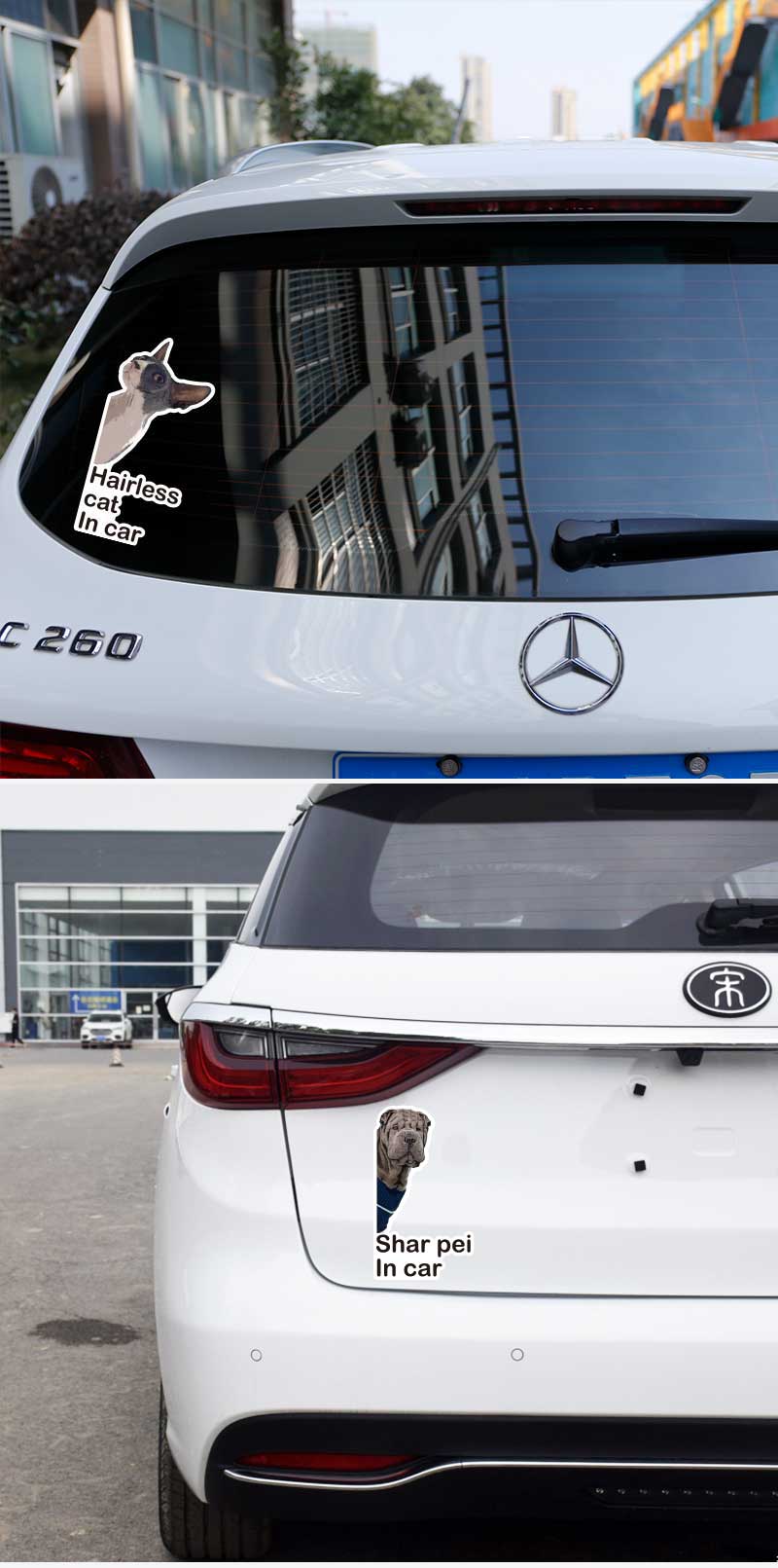cat on board car sticker cat on board car sticker