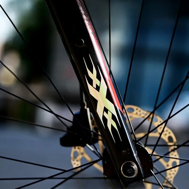2 adesivi per mountain bike impermeabili