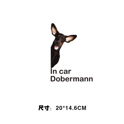 Animal Pet Car Decorate Sticker