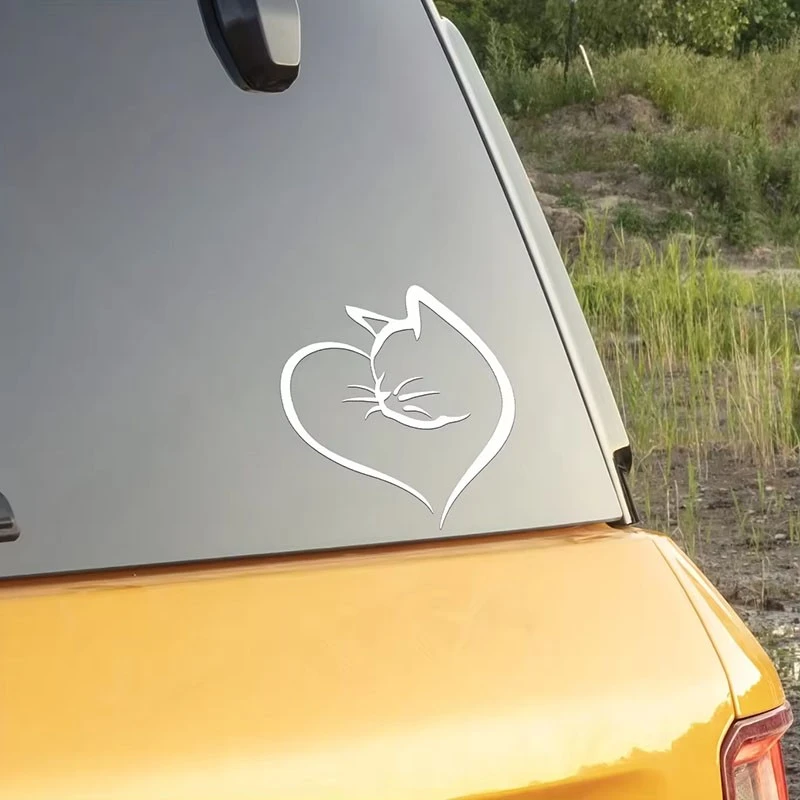 DEGORIZZO ESTERNO AUTOCAR MODELLO DI CAT