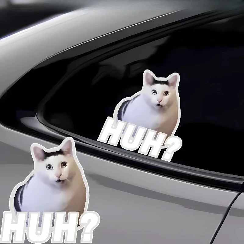 CHUH CAT CAT MOTO AVOLO DI MEME FUNICO PER AUTO