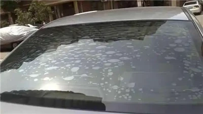Come risolvere il problema delle bolle che appaiono sugli adesivi per auto: s...
