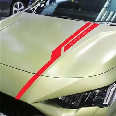 Adesivo per cofano con cappuccio da 100 cm