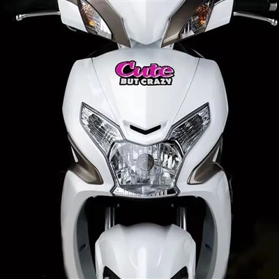 Adesivo decorativo per auto carino ma pazzo