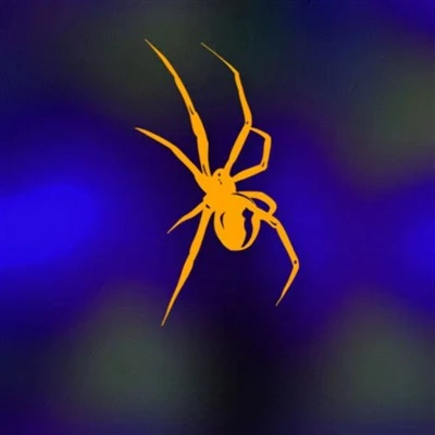 Adesivi colorati per moto Spider