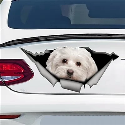 Styling per le decalcomanie per cani da compagnia
