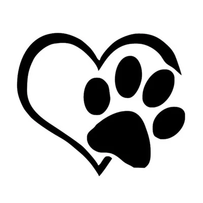 Cuore con adesivo con impronte di animali domestici