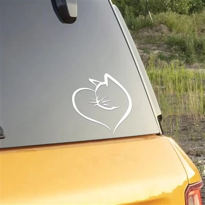 DEGORIZZO ESTERNO AUTOCAR MODELLO DI CAT