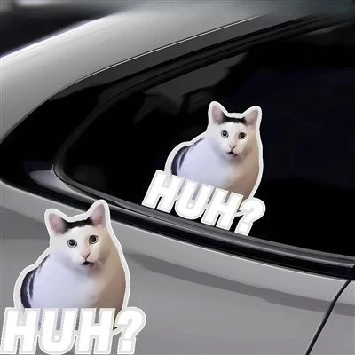 CHUH CAT CAT MOTO AVOLO DI MEME FUNICO PER AUTO